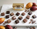 Ballotins de chocolats Noir - CHOCOLABÉ DU MEDOC