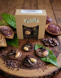 Sachet de Mendiants chocolat Noir ou Panaché ou Lait 100g - CHOCOLABÉ DU MEDOC